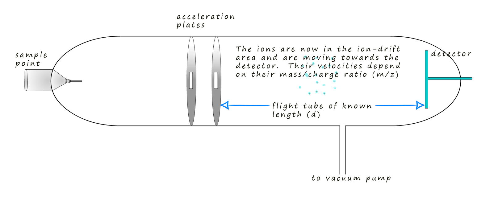 Diagram of a time of flight (TOF) mass spectrometer